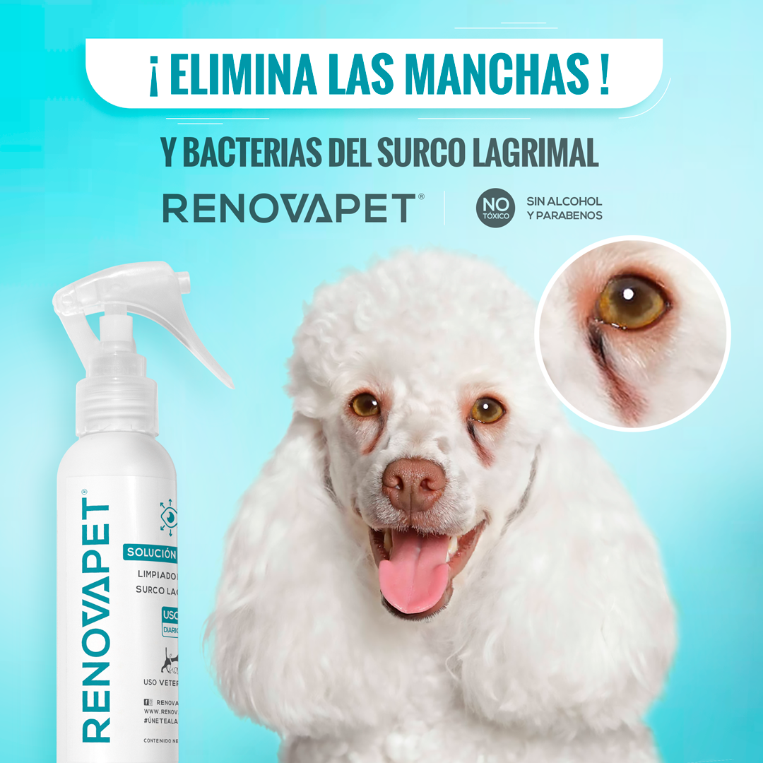 RENOVAPET SURCO LAGRIMAL- Adiós A Las Manchas De Los 👀 Para Mascotas🐶