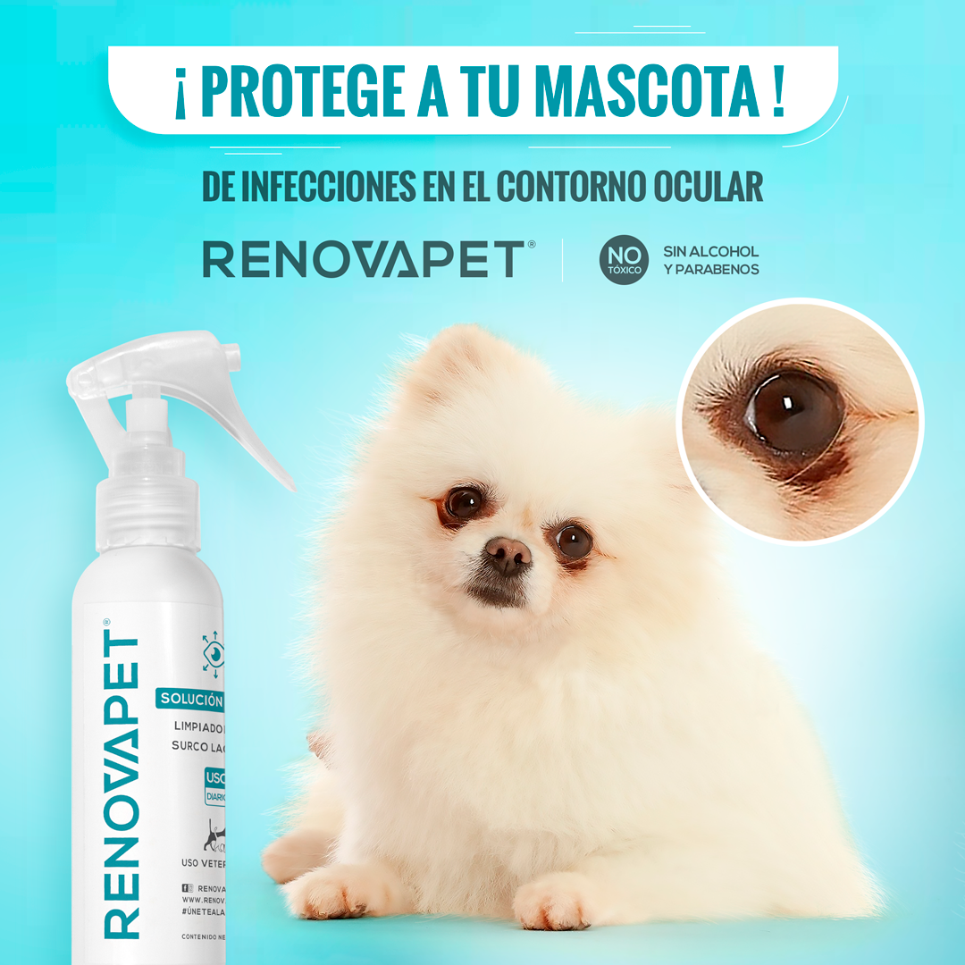 RENOVAPET SURCO LAGRIMAL- Adiós A Las Manchas De Los 👀 Para Mascotas🐶