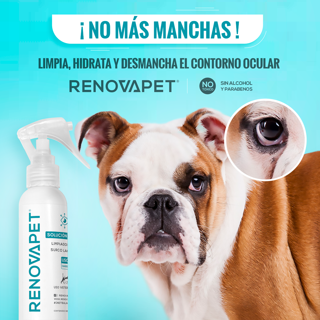 RENOVAPET SURCO LAGRIMAL- Adiós A Las Manchas De Los 👀 Para Mascotas🐶