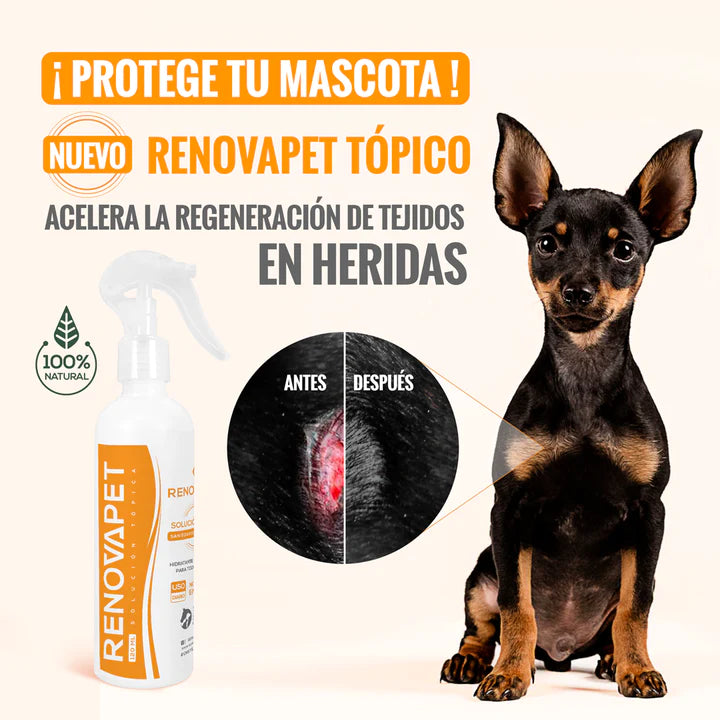 🐾 RENOVAPET TÓPICO- Solución Dérmica Para Animales 🐶🐱🐎