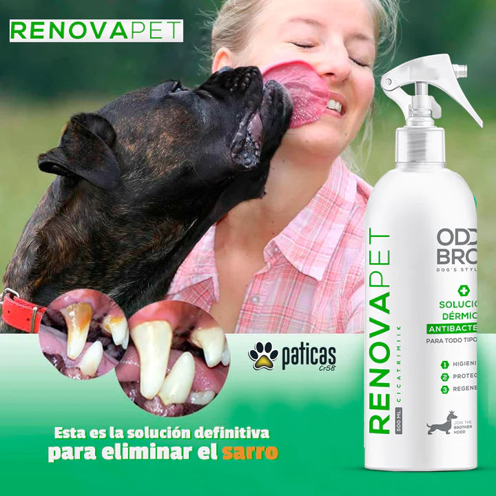 🐾RENOVAPET 🐶 Dile Adiós Al Sarro 😻