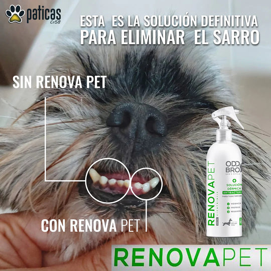 🐾RENOVAPET 🐶 Dile Adiós Al Sarro 😻